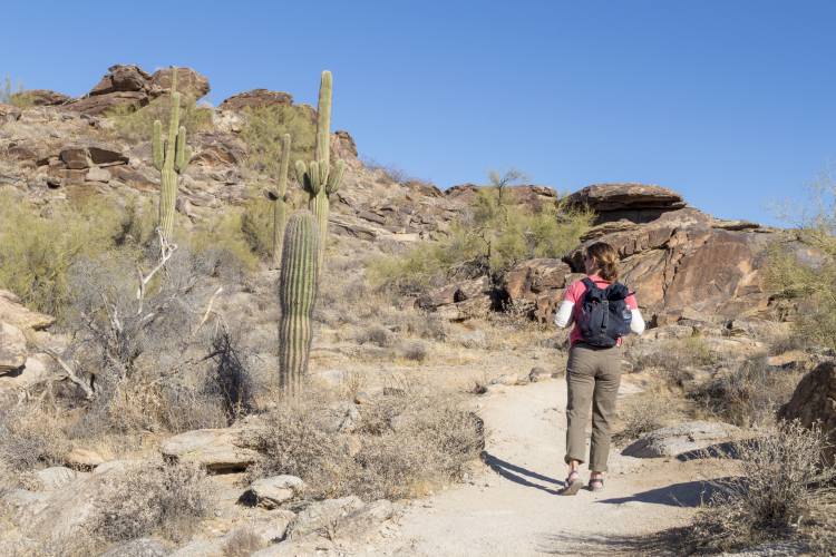 Best Hiking Near Scottsdale AX - Hiking Trail